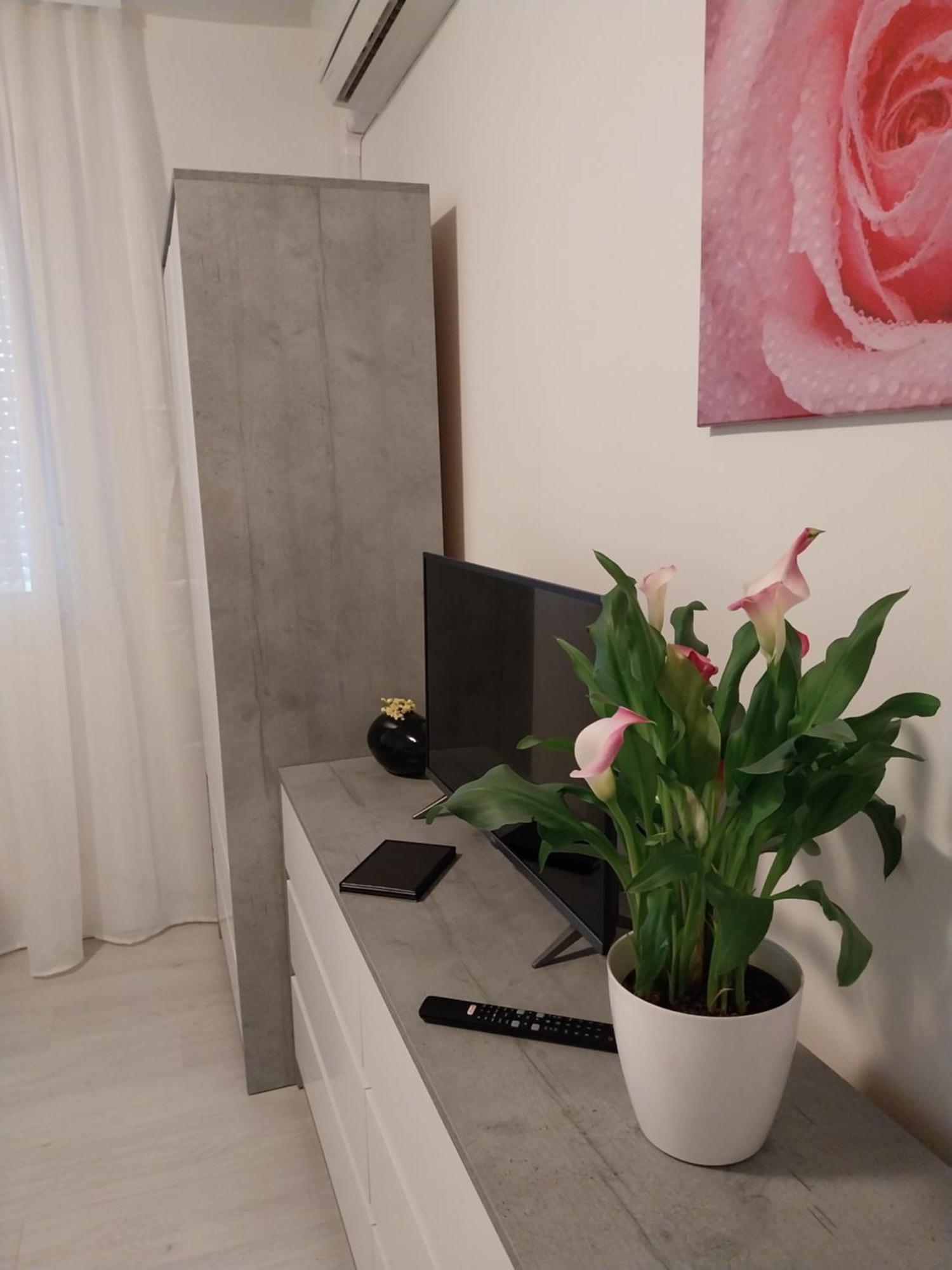 Studio M بولا المظهر الخارجي الصورة